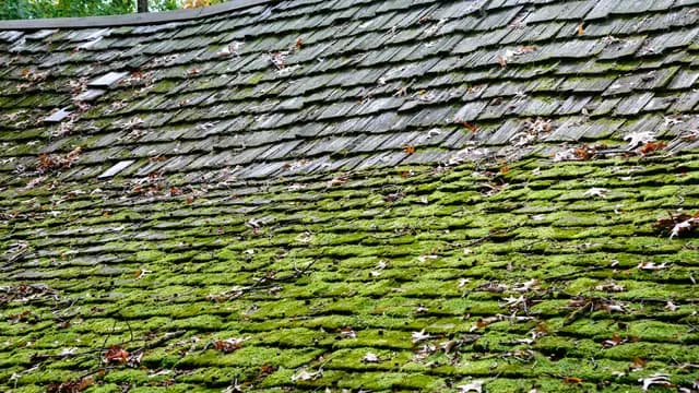 Is A Sagging Roof Dangerous? Signs It’s Time To Take Action