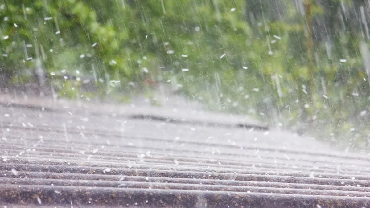 What Does Hail Damage Look Like On A Roof? Spot The Signs Early
